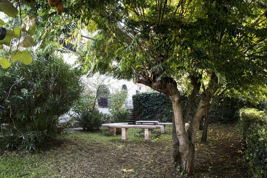 Il Pettirosso B&B Гротаферата Екстериор снимка