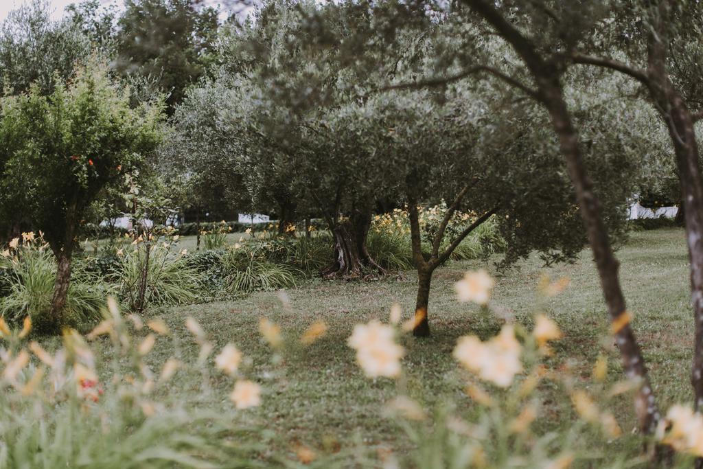 Il Pettirosso B&B Гротаферата Екстериор снимка