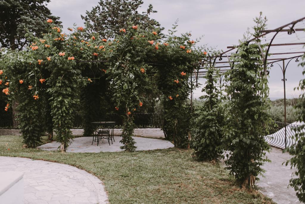 Il Pettirosso B&B Гротаферата Екстериор снимка