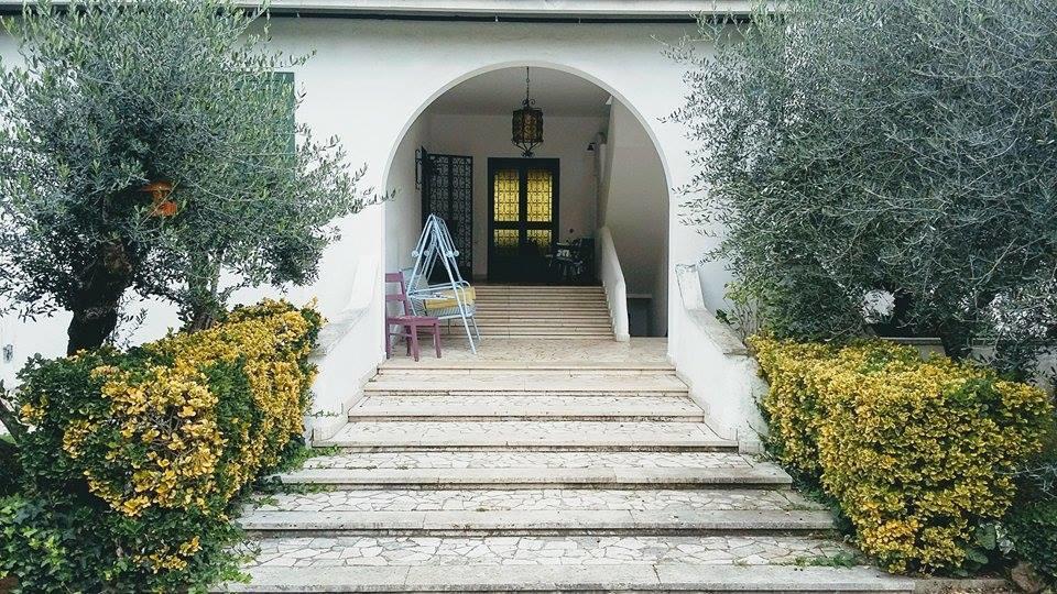 Il Pettirosso B&B Гротаферата Екстериор снимка