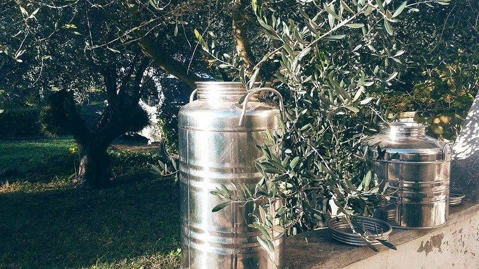 Il Pettirosso B&B Гротаферата Екстериор снимка