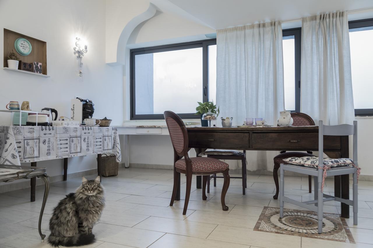 Il Pettirosso B&B Гротаферата Екстериор снимка