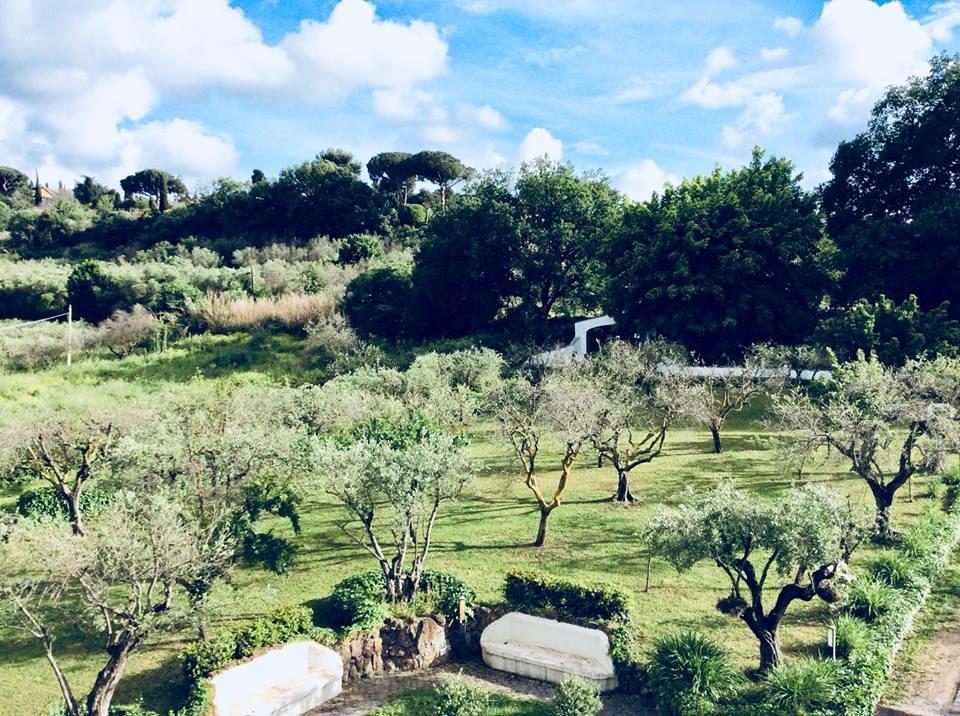 Il Pettirosso B&B Гротаферата Екстериор снимка